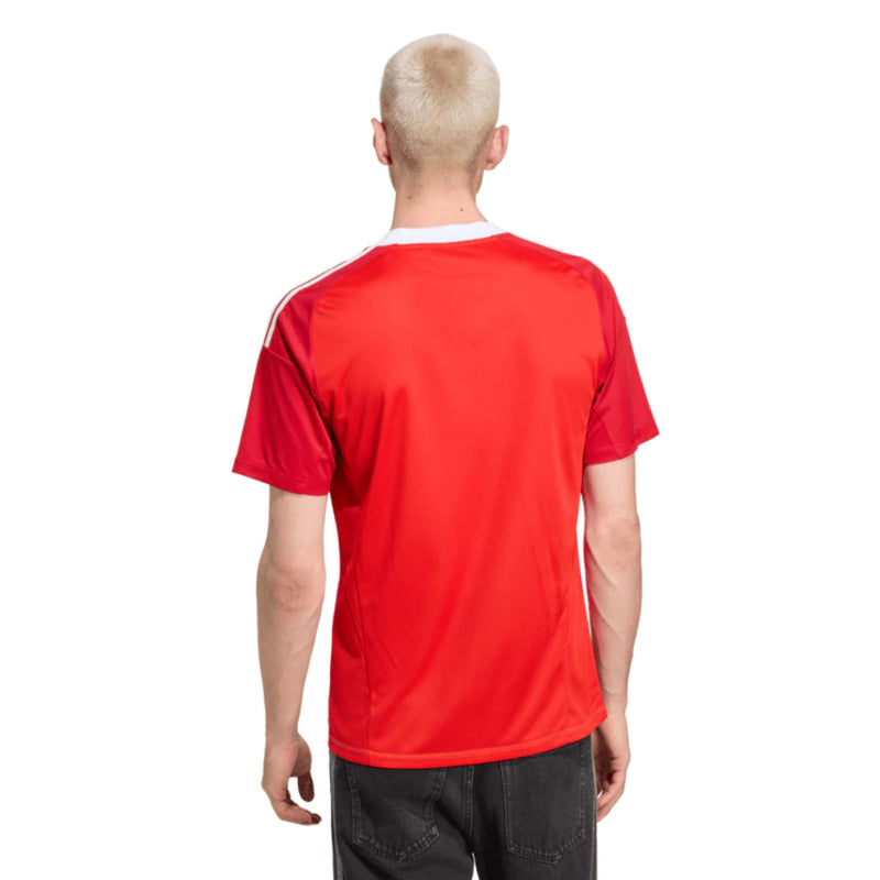 Camisa Goleiro III 2025/26