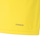 Camisa Treino 2024/25 I